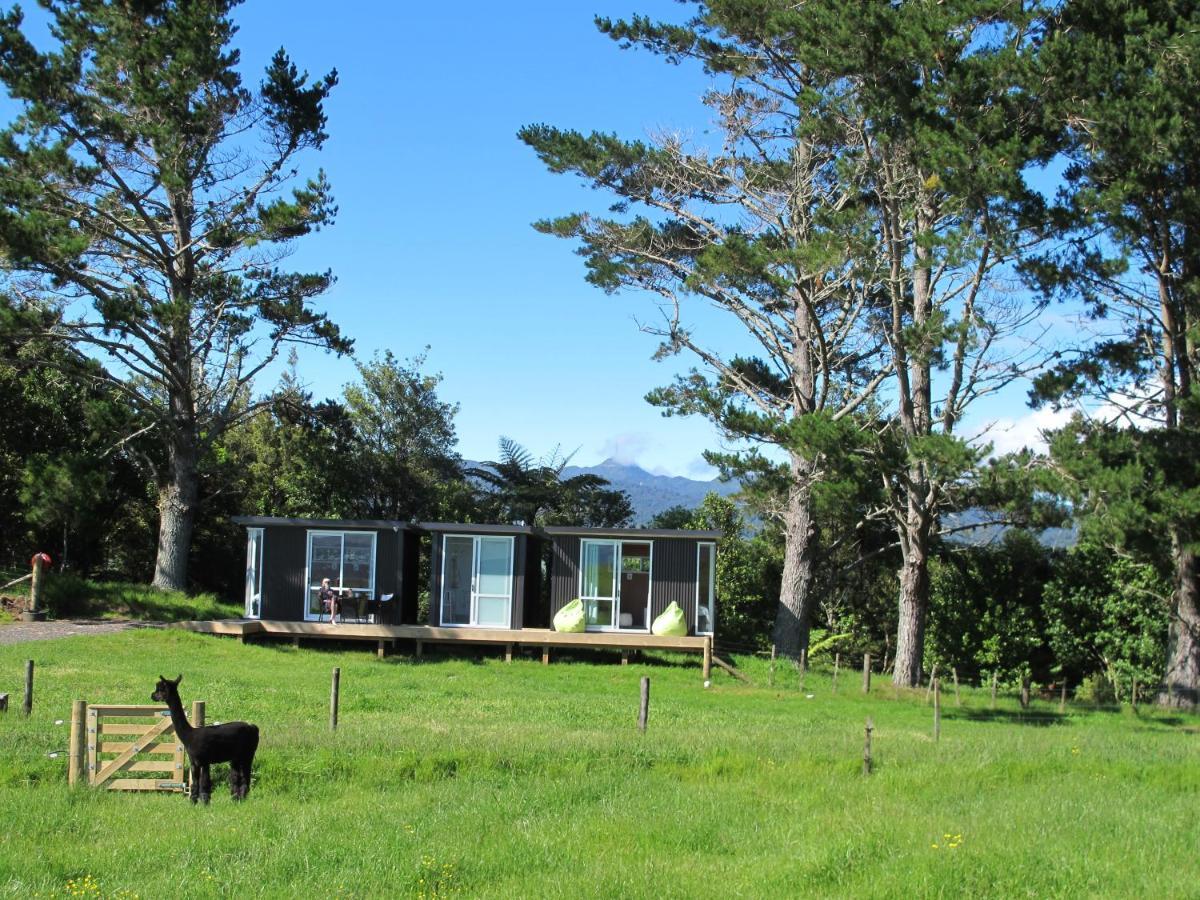 Waihi Gold Alpacas 3 Or 4 People Ξενοδοχείο Εξωτερικό φωτογραφία